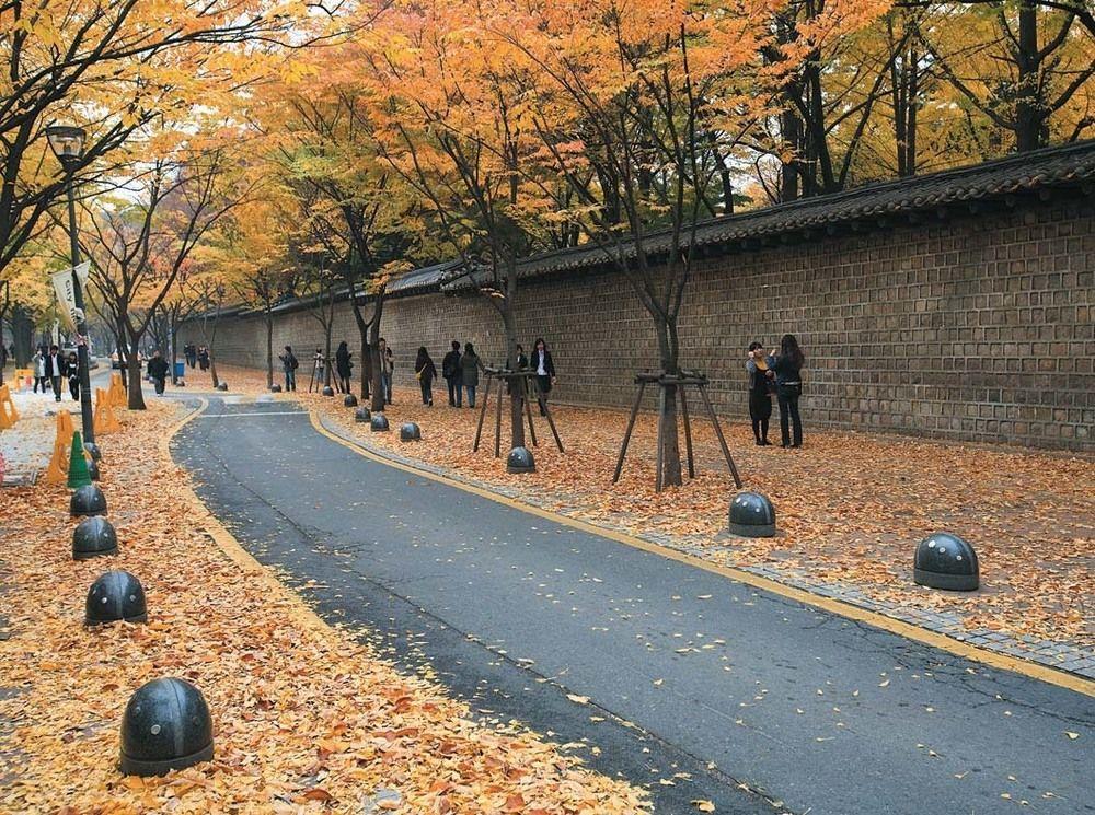 24 Guesthouse Seoul City Hall Bagian luar foto